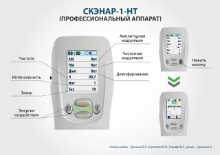 СКЭНАР-1-НТ (исполнение 01)  в Горно-алтайске купить Медицинский интернет магазин - denaskardio.ru 