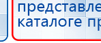 СКЭНАР-1-НТ (исполнение 01)  купить в Горно-алтайске, Аппараты Скэнар купить в Горно-алтайске, Медицинский интернет магазин - denaskardio.ru